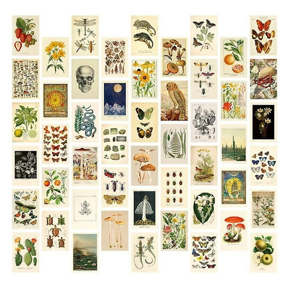Vintage Aesthetic Wall Collage Kit - 50 Mini Botanical Collage Art Posters (4x6inch), For Photo Wall