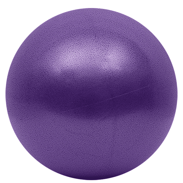 Small Pilates Ball for Stability Pilates Yoga Barre Physical Therapy Core Training