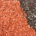 thumbnail image 2 of JYLP Premium Red Wood Mulch 1.0 Cubic Ft, Decorative Red Bark Chips for Garden Lawn Potted Plant Landscaping, 2 of 5