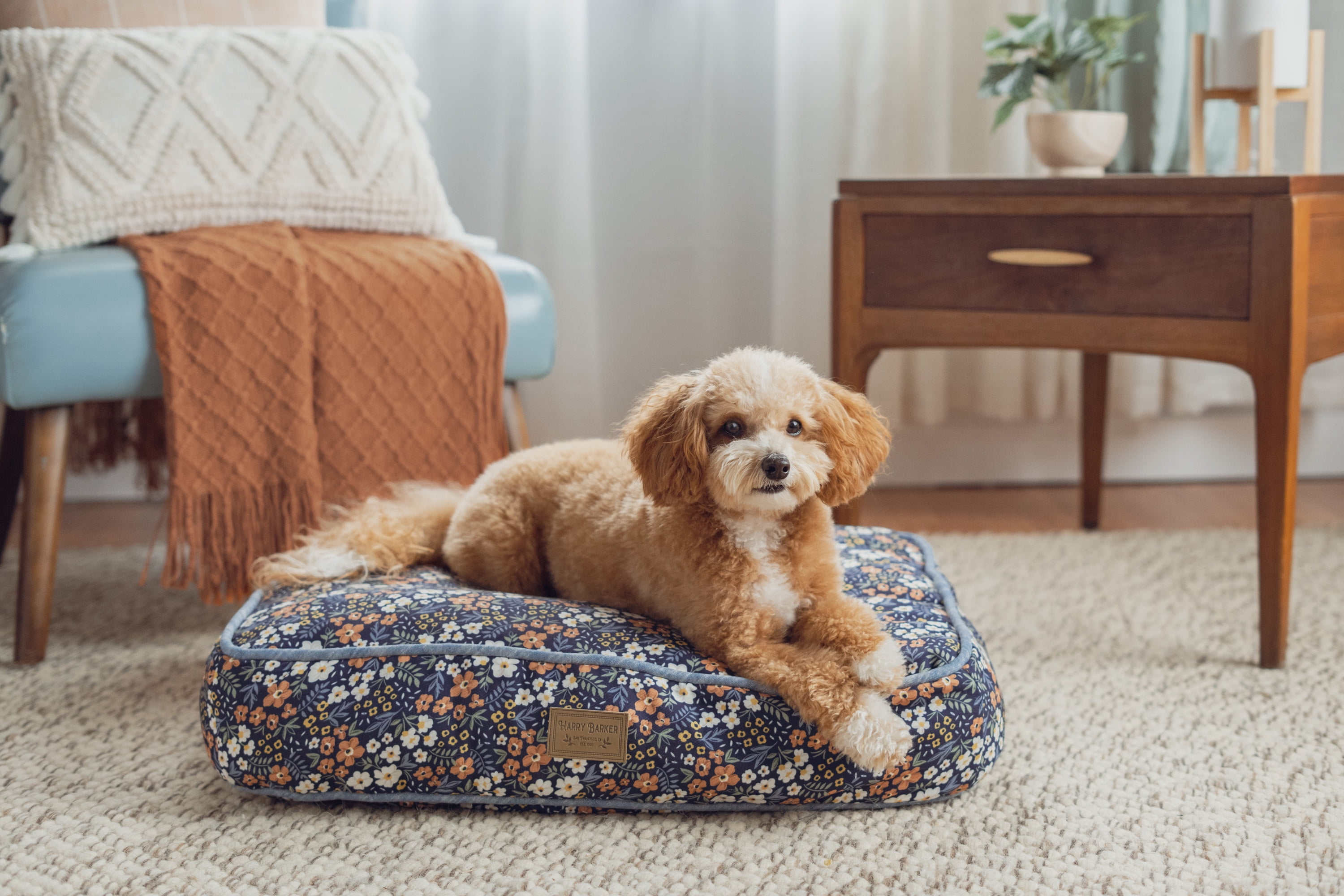Harry Barker Floral Print Bed, Medium