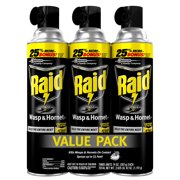 Raid Wasp & Killer 33, 14 oz, 2 ct