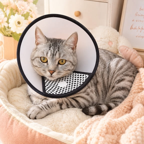 Translucent Pet Elizabethan Collar, Breathable Recovery Cone Lick Proof Wound Healing Protective Shield For Cats Dogs