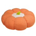 thumbnail image 1 of Coussin Rond Citrouille Coussin de Siège Surface Coussin Coussin de Sol Repose-Pieds Dossier de Sofa-Semaine, 1 of 5