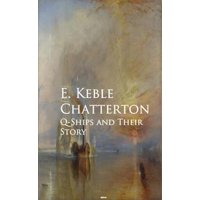 Q-Ships and Their Story - eBook