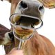 thumbnail image 2 of Abridor De Boca De Animales, Agarre Cómodo, Ligero Y Compacto, Dilatador De Ganado, Diseño De Cabeza De Borde Suave, Ahorro De Mano De Obra, Animales De Ganado Para Caballos Cergrey Cattle Dilator, 2 of 8