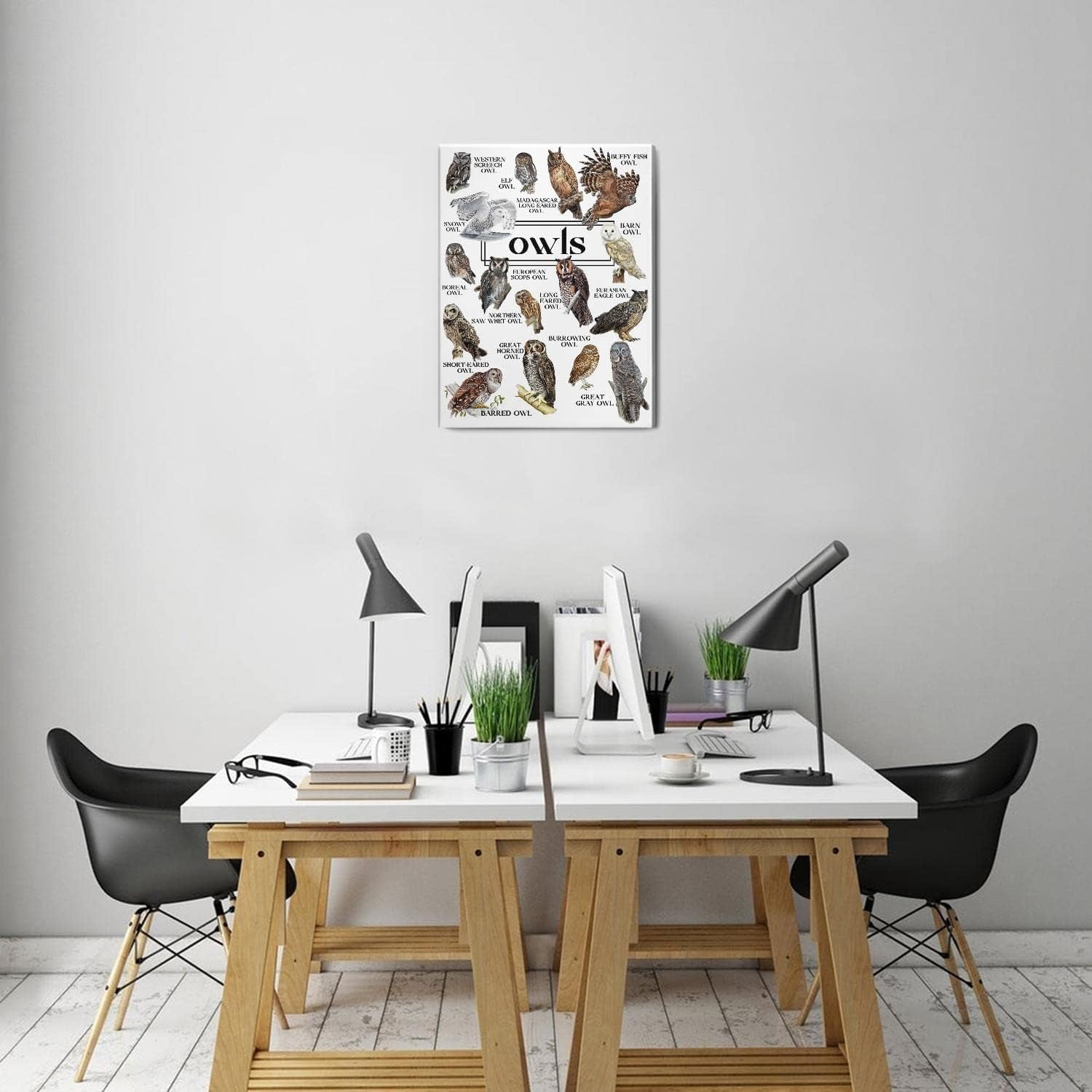 Owls Wall Art Owl Decor for Living Room Home