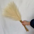 thumbnail image 4 of KUIZAP 55CM 10PCS Fluffy Pampas Grass Boho Decor Flower Fake Plant Reed Simulated Wedding Party Home Decoration Artificial Flowers(Dark blue), 4 of 7