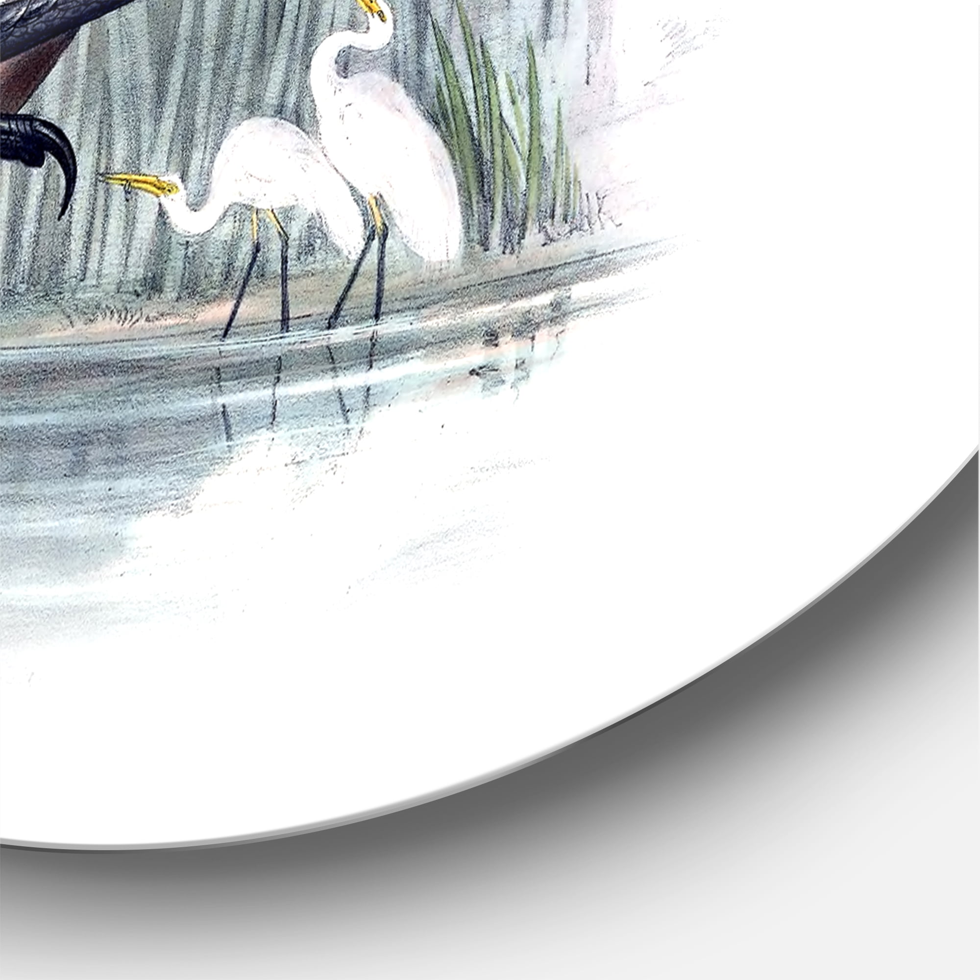 Designart 'Ancient Australian Birds IV' Traditional Circle Metal Wall Art 36x36 - Disc of 36