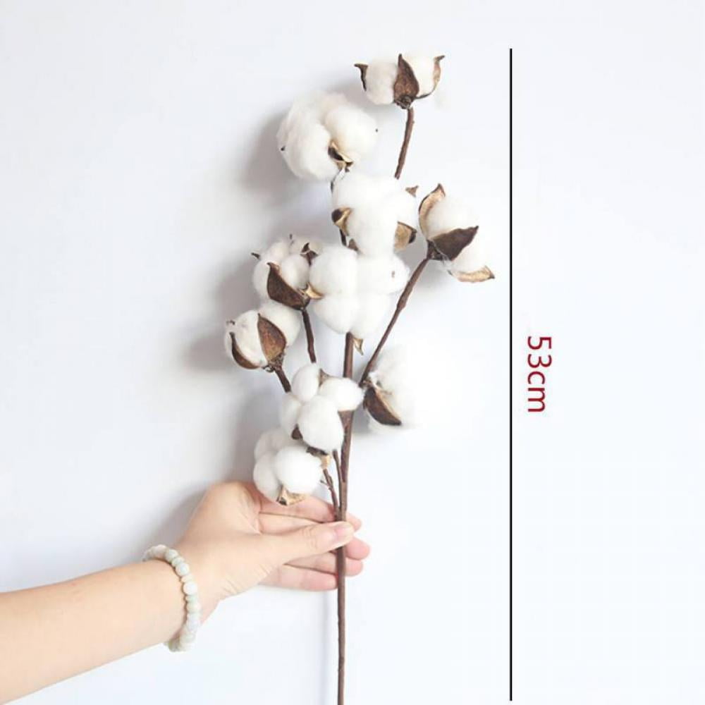 5PCS Naturally Dried Cotton Stems Farmhouse Artificial Flower Filler Floral Decor