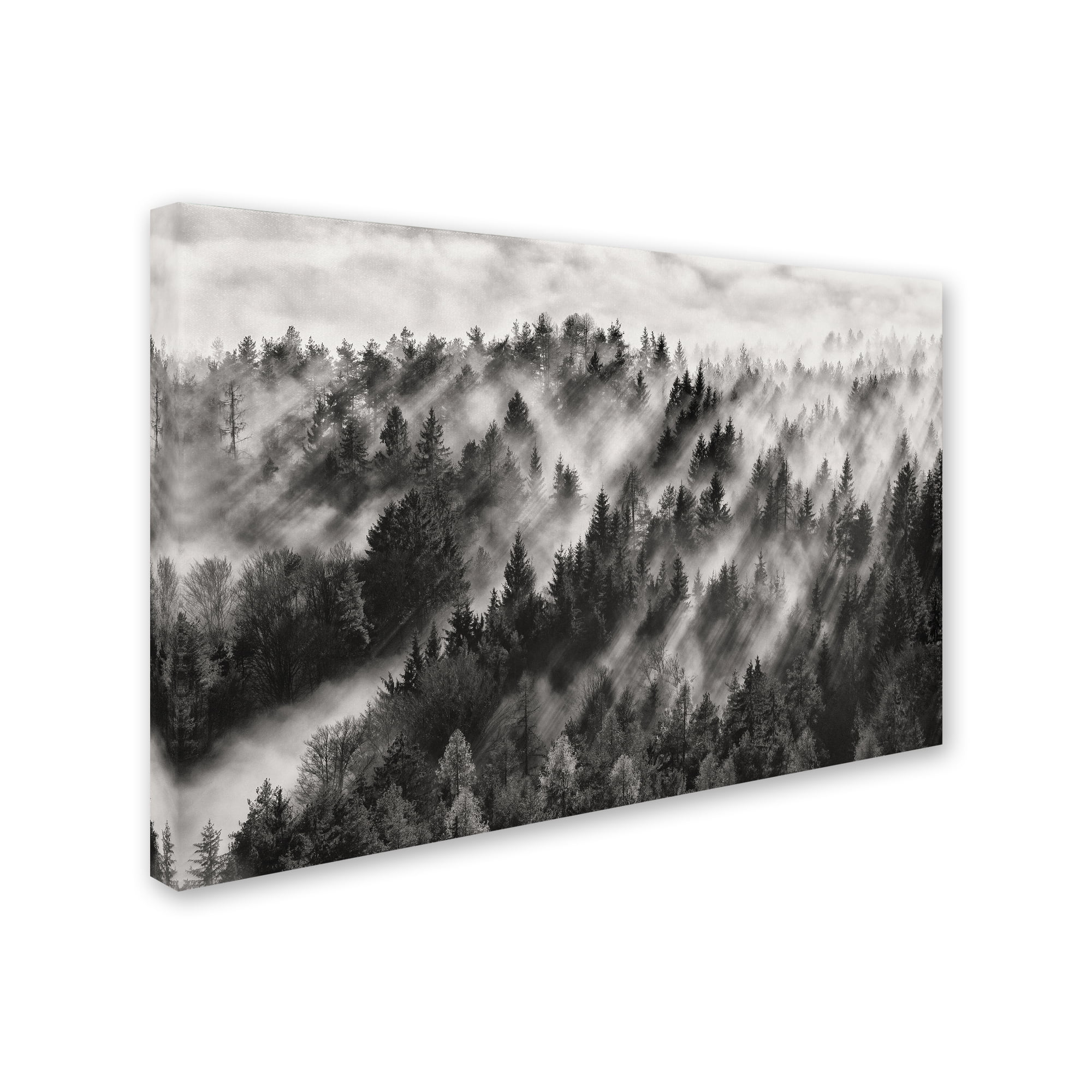 Trademark Fine Art 'Sundance No1' Canvas Art by Davorin Baloh