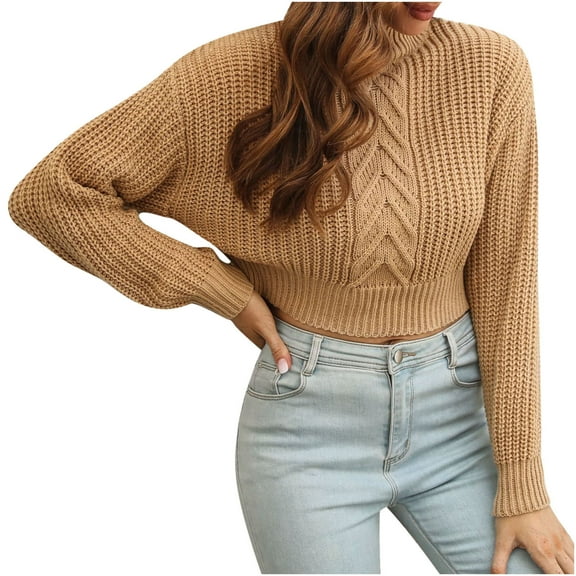 Fesfesfes Women Sweater Herringbone Three-dimensional Turtleneck Short Sweater Women Sweater Loose Fall And Winter Long-sleeved Sweater New or