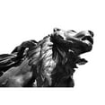 thumbnail image 3 of Millet, Karyn 24x17 Black Modern Framed Museum Art Print Titled - Stone Lion, 3 of 5