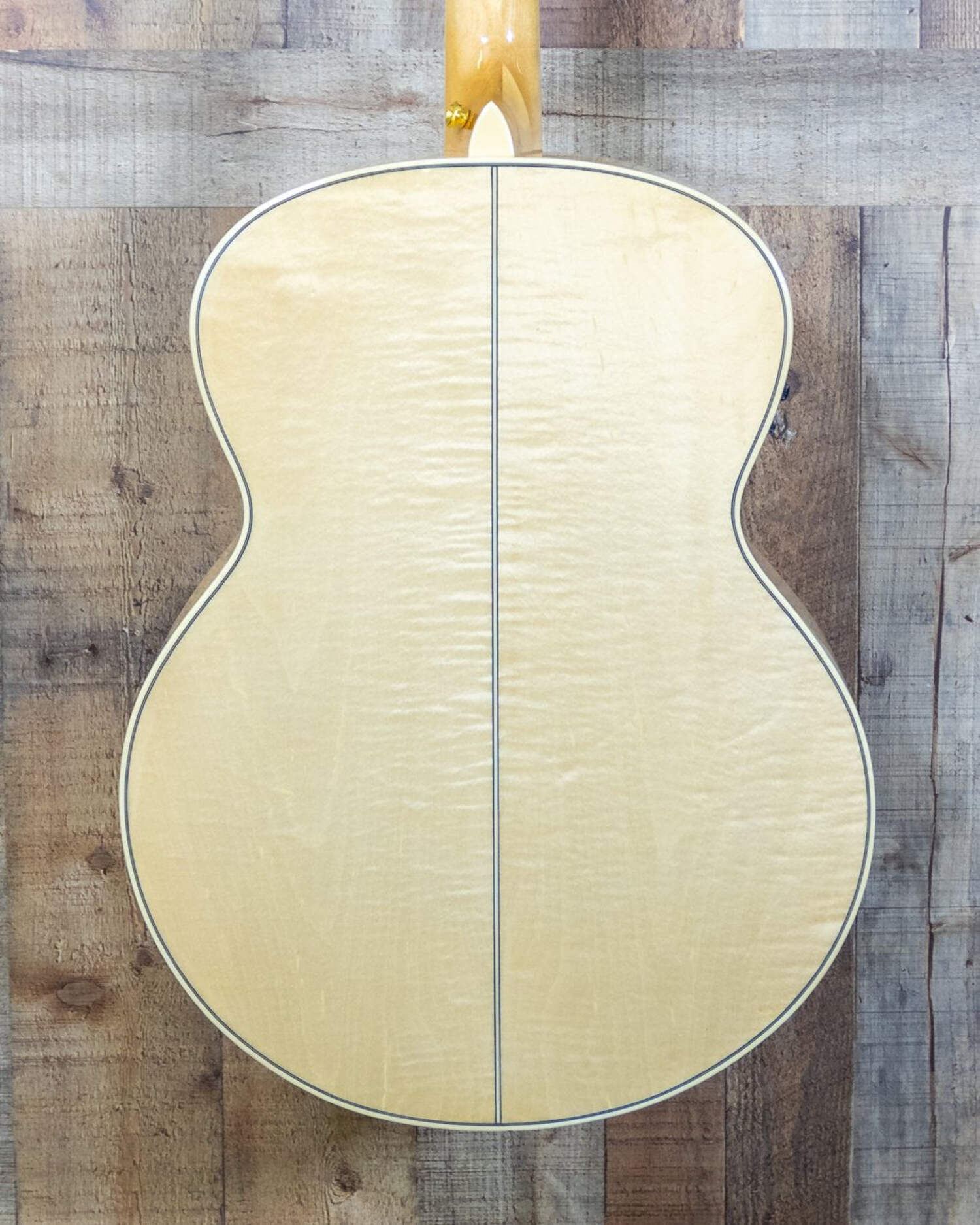 Tagima Florens Series Jumbo A/E Non-Cutaway