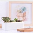 thumbnail image 3 of Resina Hierba Jardinera Ventana Caja Interior Jardín Al Aire Libre Decoración Baoblaze Maceta de jardín de resina, 3 of 8