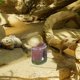 thumbnail image 4 of OHOIOLLA Refugio Cómodo Para Pequeños Con Cueva Y Práctico En ABS, 4 of 6