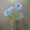 Blue, variant on Getwin,Artificial Gerbera Flowers,Realistic Flower Home Decor Indoor,Gerbera Flower Stem In Multiple Colors, Vivid Realistic Shape, Fit Indoor Vase, Bathroom Decor and Tabletop Layout