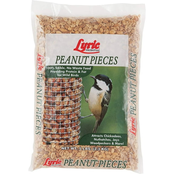 Lyric 2647464 Peanut Pieces Wild Bird Food, 5 lb