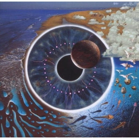 Pink Floyd - Pulse - Music & Performance - CD