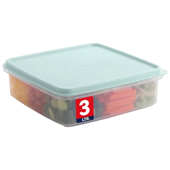 SIGNORAWARE 3 L Airtight Food Storage Container with Lid – Blue