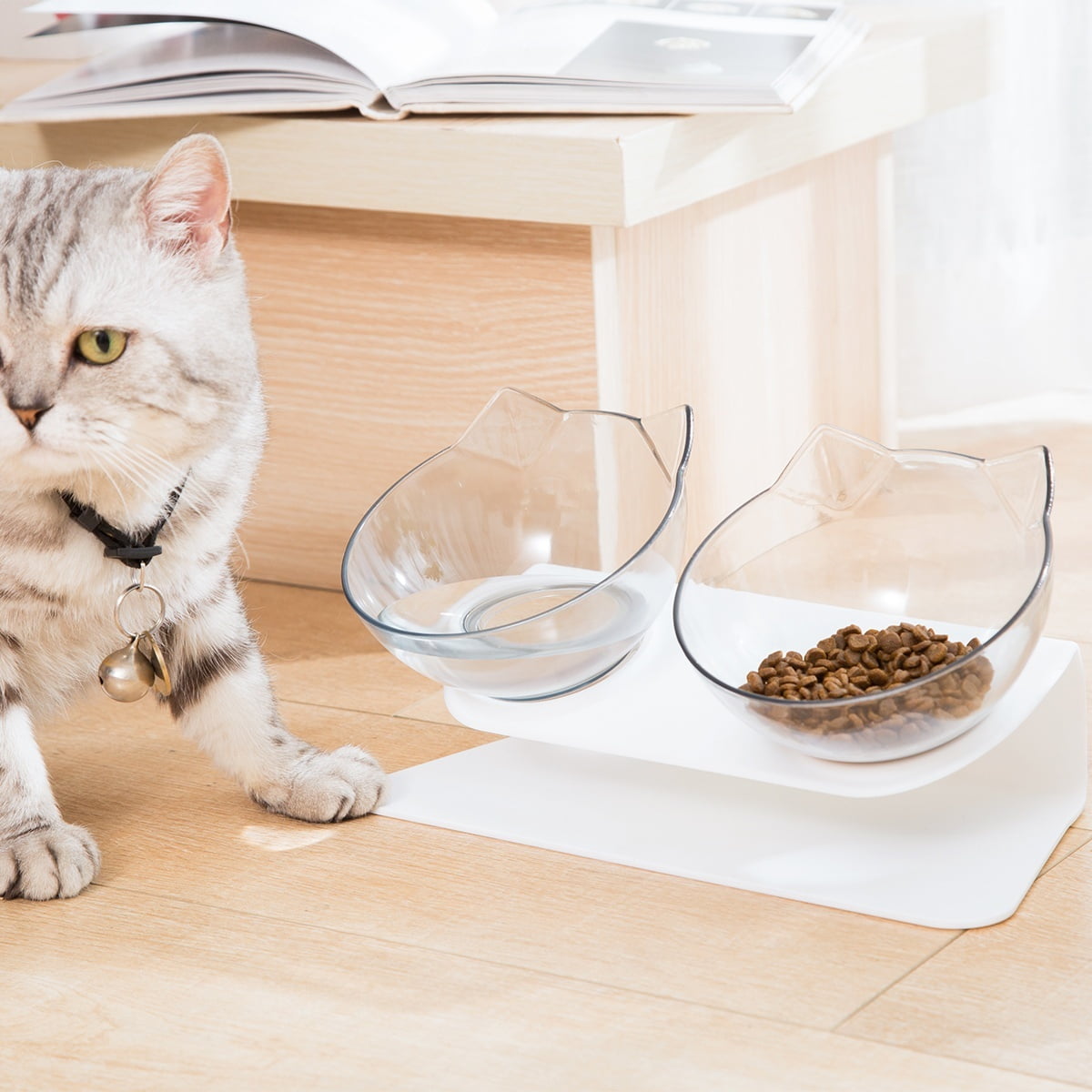 best cat bowls for kittens