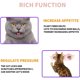 thumbnail image 3 of Bolas de hierba gatera, juguetes comestibles para gatos, juguetes para masticar gatitos, juguete dental para limpieza de dientes, golosinas para pared de gatos, 3 of 5