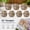10" Hexagon, variant on Natural River Rock Garden Pavers, Set of 6 Hexagon Round Pebble Stones for Walkway, Yard, Lawn, Patio, Pathway & Landscaping Decor