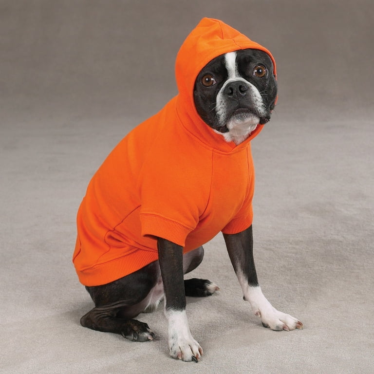 Zack & zoey basic hoodie for dogs 2025