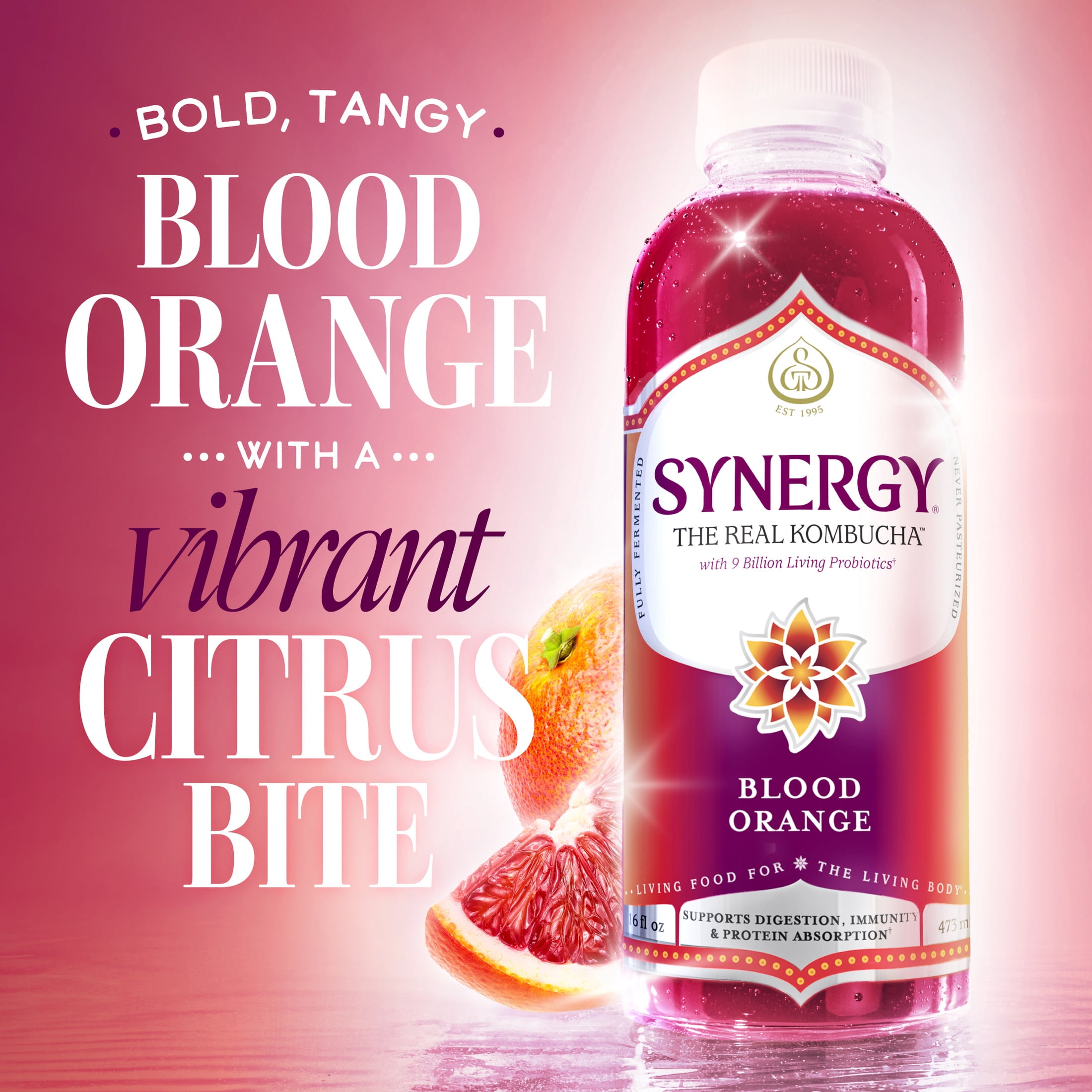 GT's Synergy Raw Blood Orange Kombucha 16 fl oz