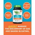 Zenwise No Bloat Probiotics Digestive Enzymes Herbal Supplement Gas