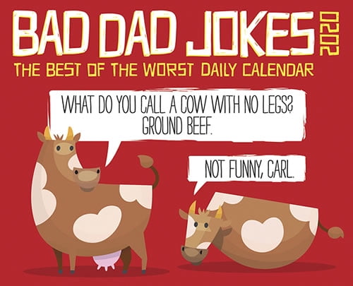 Willow Creek Press 2020 Bad Dad Jokes Box Calendar - Walmart.com