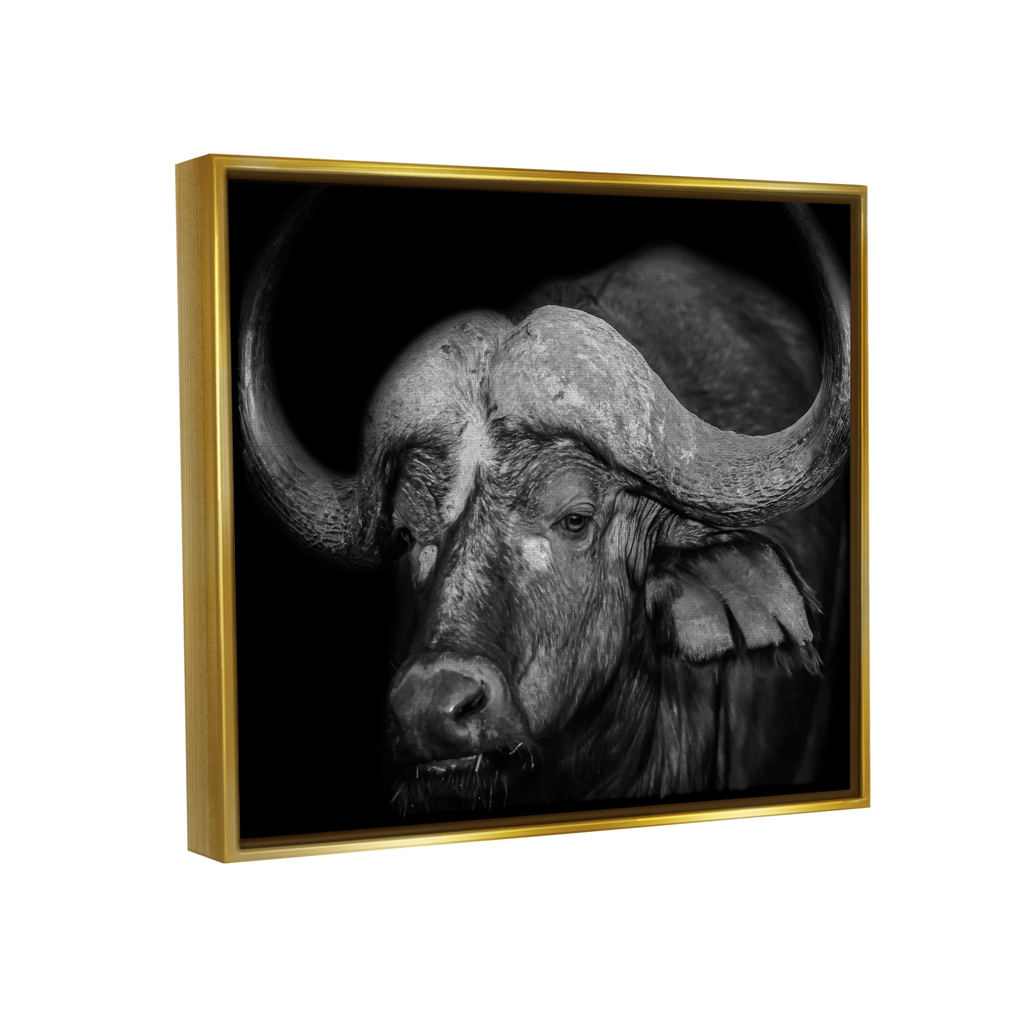 Stupell Industries Dark Buffalo Photography Animals & Insects Photography Gold Floater Framed Canvas Art Print Wall Art, 21 x 17