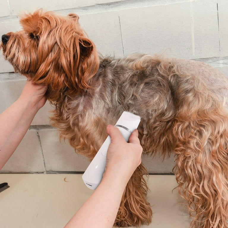 Dog grooming kit clearance walmart