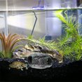 thumbnail image 3 of unbranded 2Ud Adorno Acuario Cueva De Resina Duradera Para De Peces Y, 3 of 6