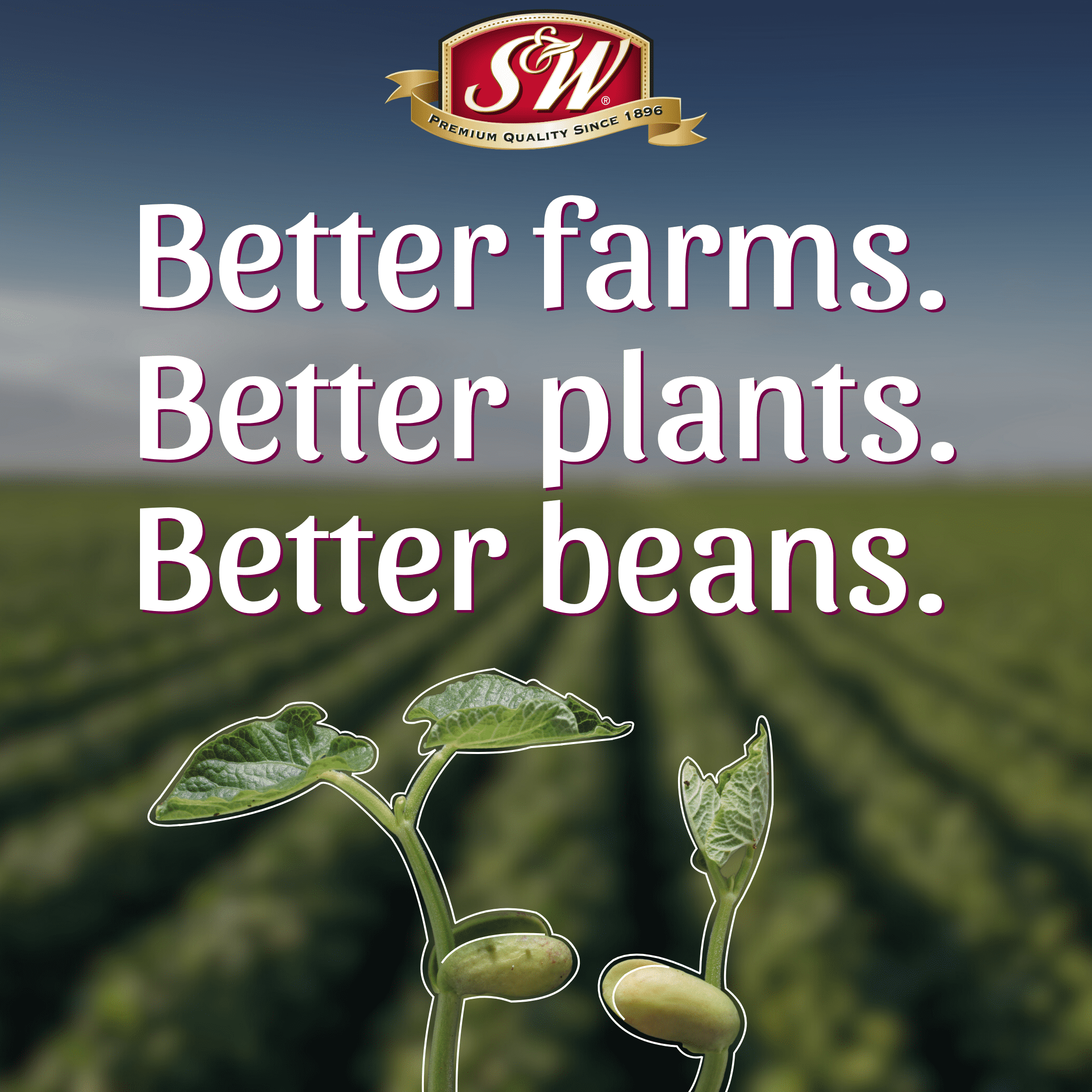 S&W Dark Red Kidney Beans, 15.5 oz Can