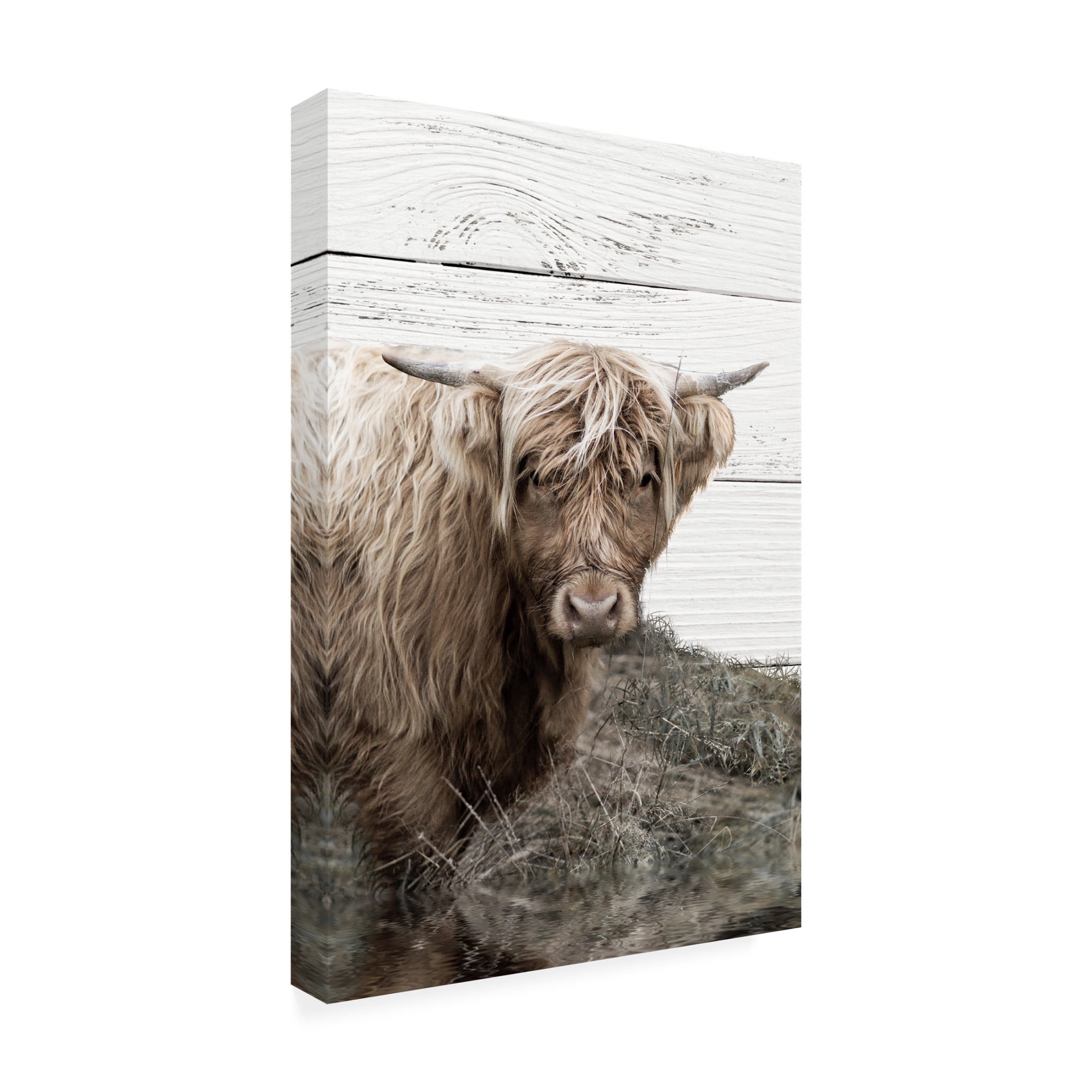 Canvas Wall Art - Sasha 'Barnaby' Wall Art for Living Room, Bedroom, or Office Décor by Trademark Fine Art - 12 x 19 Inches