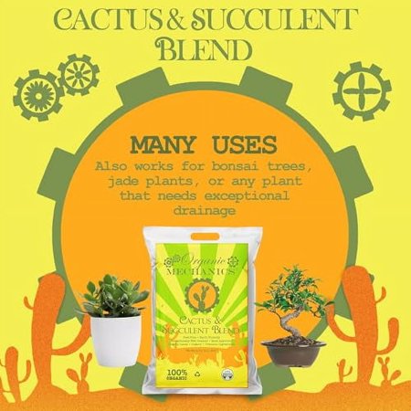 Cactus and Succulent Blend Potting Soil, 8 Quarts – Enhances Root Growth & Water Drainage with Biochar, Rice Hulls, and Worm Castings - Peat-Free, Eco-Friendly & Locally Sourced