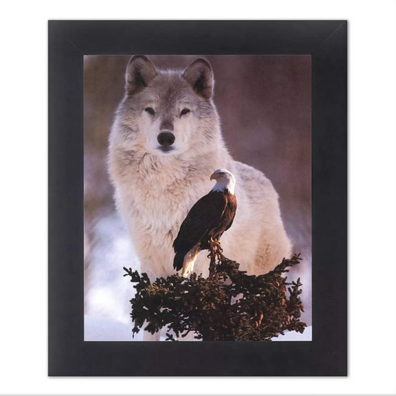 American Bald Eagle Bird with Gray Wolf Photo Wall Picture Black Framed
