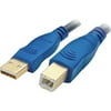 Accell A001C-006B Accell Gold Series USB 2.0 Cable - Type A Male USB - Type B Male USB - 6ft