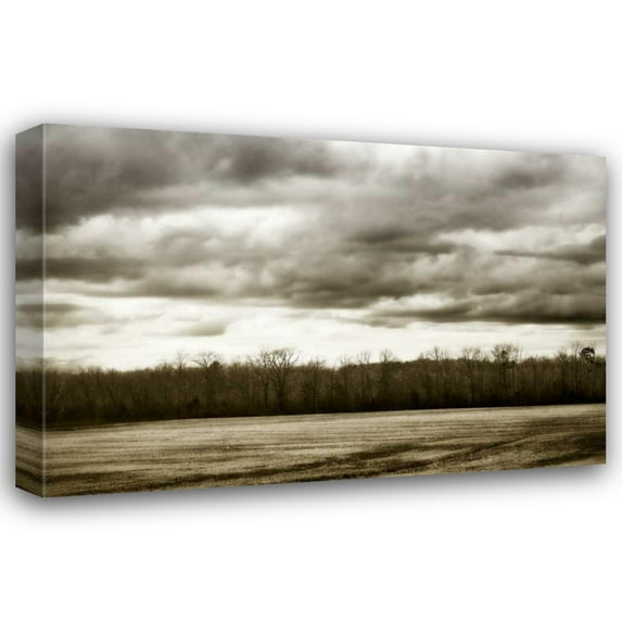 Alan Hausenflock 24x17 Gallery Wrapped Canvas Wall Art Titled - Winter Fields IV