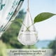 thumbnail image 4 of Maceta colgante de cristal con gancho transparente, terrario colgante, florero de planta en maceta, decoración para el hogar y la Oficina, 4 of 7