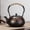 ColorD, variant on 1.2L Cast Iron Tea Kettle with Infuser,Traditional Japanese Tetsubin, Stovetop Safe, Excellent Heat Retention, Perfect for Tea Ceremony or Daily Brew (colorD)