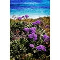 thumbnail image 3 of Hausenflock, Alan 17x24 Black Modern Framed Museum Art Print Titled - La Jolla Beach I, 3 of 5