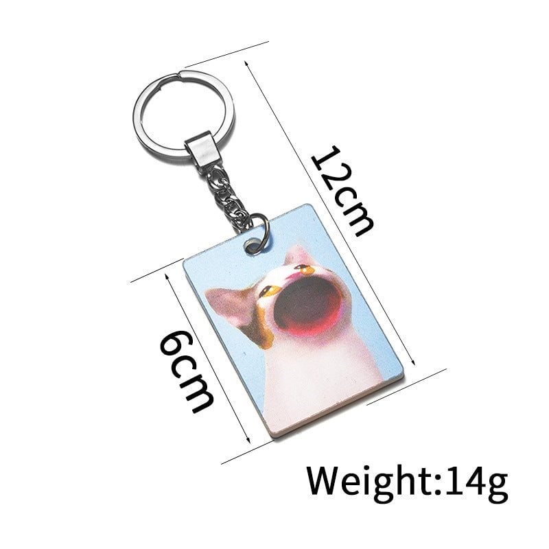 3D Stereo Transformation Kitty Square Plate Key Ring Acrylic Cat Keychain Pendant for Purse Backpack or Keys Blue Cat