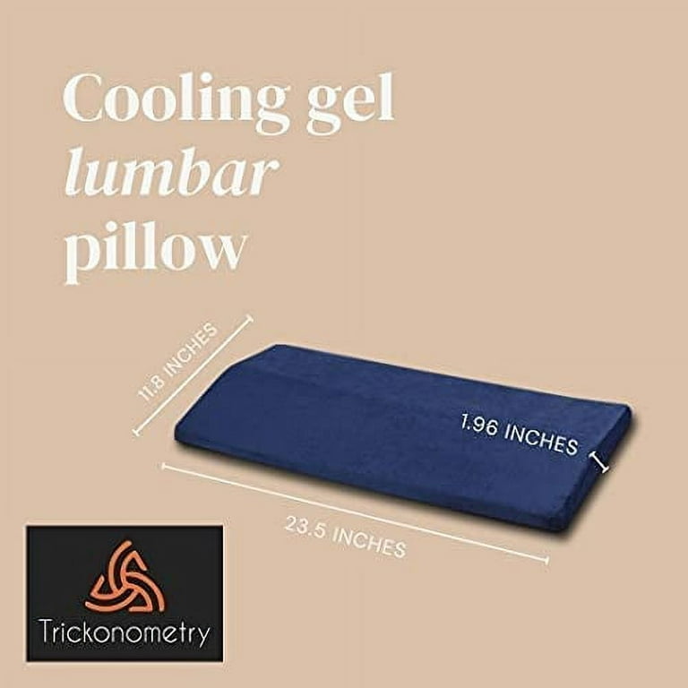 Vive Full Lumbar Pillow - Memory Foam Contour Support Cushion for Lower  Back Pain - Muscle Strain, Sciatica, Arthritis, Osteoporosis, Scoliosis