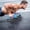 D: Black & Blue, variant on WLIKKS Push Up Bars, Pushup Stands With Thickened Soft Plastic Handle, Stable and Non-Slip Base, Pushup Handles Perfect for Floor Strength Training