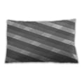 thumbnail image 1 of Ahgly Company Outdoor Rectangular Contemporary Lumbar Throw Pillow, 13 inch by 19 inch, 1 of 5