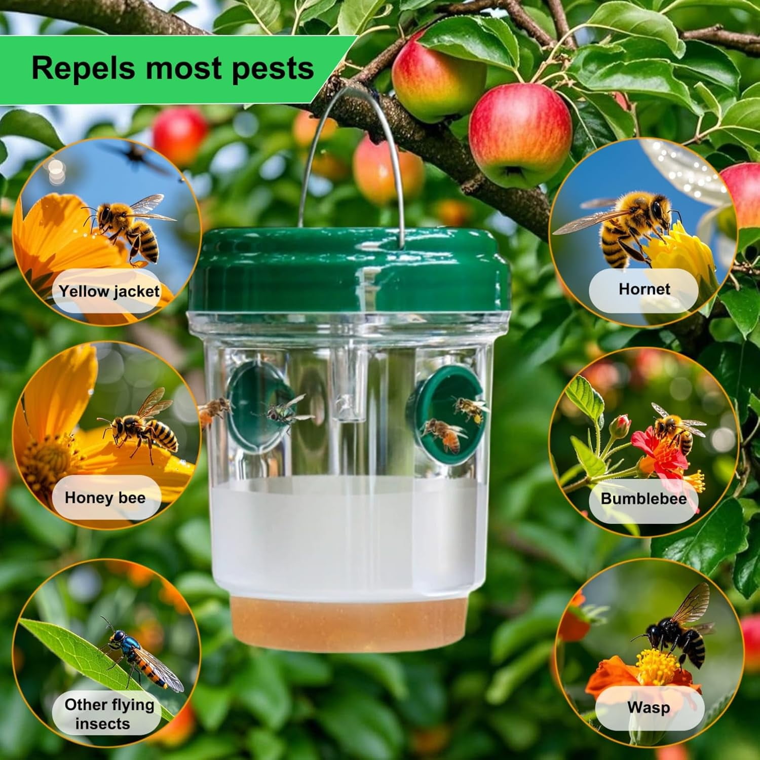 4-Pack Solar Wasp Traps Outdoor Hanging – LED Bee & Hornet Trap, Yellow Jacket Catcher, Reusable Wasp Deterrent for Garden, Orchard & Indoor Use