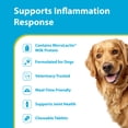 thumbnail image 3 of PRN Pharmacal Duralactin Canine Chewable Tablets - Joint Health Supplement for Dogs & Puppies Supports Mobility & Wellness - Tablets Containing Dried Milk Protein - Vanilla Flavor - 180 Canine Chews, 3 of 8