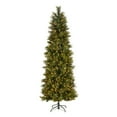 thumbnail image 3 of National Tree Company 7.5 ft Pre-Lit Carolina Pine Slim Artificial Christmas Tree, 600 Clear Lights, 759 Tips, Includes Stand, Green, 3 of 9
