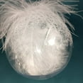 thumbnail image 6 of 9 Pcs Neutral White Shatterproof Chirstmas Ball Ornament Elegent clear Xmas Ball Decoration with Feather Inside Rustic Chirstmas Tree Hanging Decor for Xmas Tree Wedding Holiday Party, 6 of 6